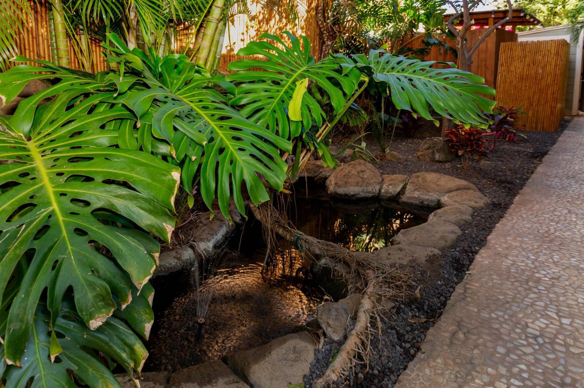 Lotus Suite, 1 Bedroom, Sleeps 4, Pool & Bbq, Pre-Renovation Summer Sale Kihei Eksteriør bilde